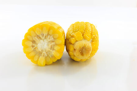 Two yellow corn that is placed on a white background.の写真素材