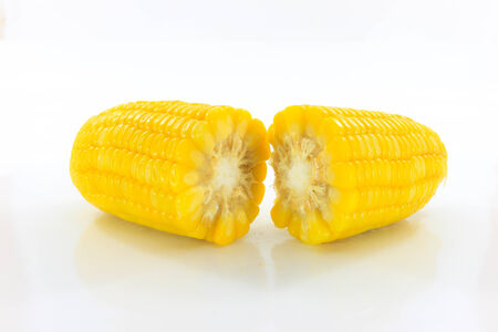 Two yellow corn that is placed on a white background.の写真素材