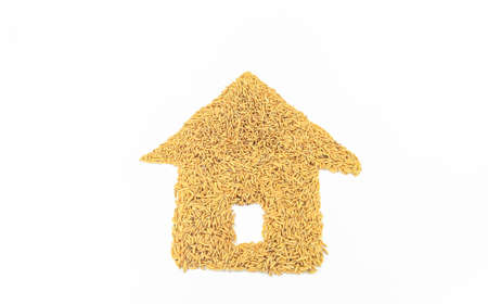 Jasmine rice is placed on a white background.の写真素材