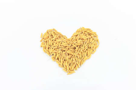 Jasmine rice is placed on a white background.の写真素材