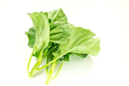 Kale isolated on white background.の写真素材