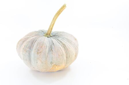 Pumpkin isolated on white backgroundの写真素材