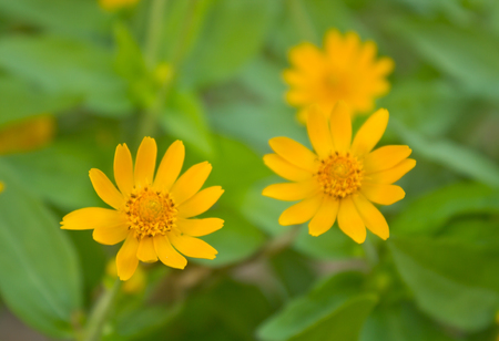 Arrayの写真素材