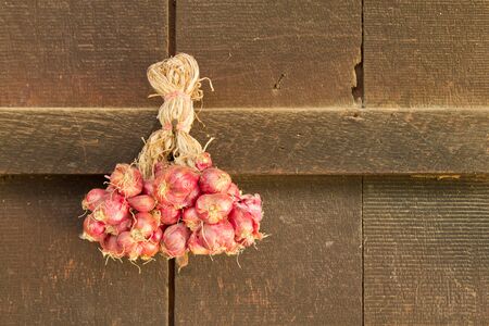 Red onions hung on the walls of the house.の写真素材