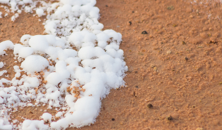 dry saline soil grunge surface with salt stain on soil surfaceの写真素材