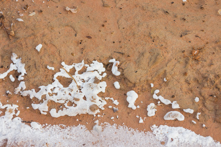dry saline soil grunge surface with salt stain on soil surfaceの写真素材