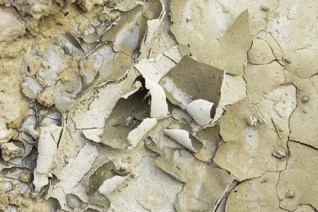 Salt stains on the surface in the dry season in the Thai rural areas