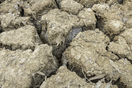 Cracked soil because of drought conditions.