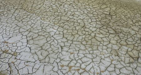 Salt stains on the surface in the dry season in the Thai rural areas