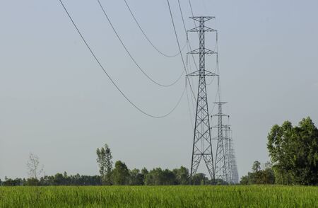 High-voltage electricity poles across the rice fields in the Thai countryside