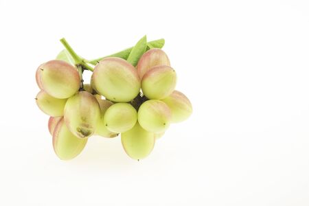 Bengal Currants are fruits Thai herbs that are high in iron and vitamin C.の写真素材