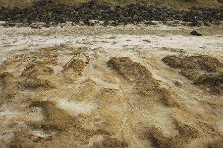 Soil in a rural area in the northeast region of Thailand that has salt stains due to drought