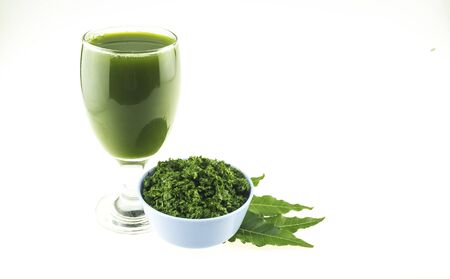 Neem is a plant that has medicinal properties that help treat diseases and nourish the body.の写真素材
