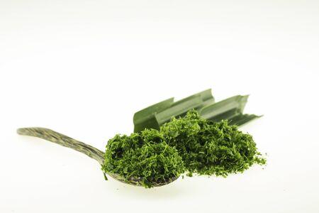Pandan leaves are plants that all Thai people are well known. Since it has been used a lot since ancient times Especially to bring food such as Thai desserts to have a delicious aromaの写真素材