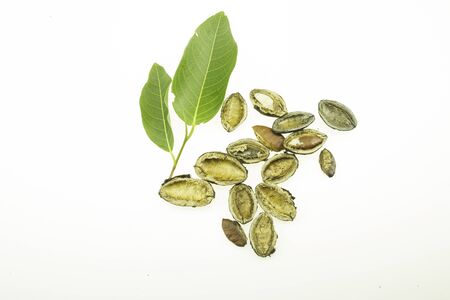 Wild Almond isolated on a whiteの写真素材