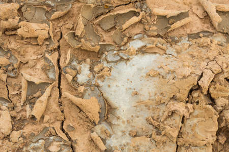 Soil in a rural area in the northeast region of Thailand that has salt stains due to drought