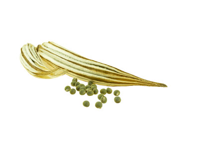 Dried okra isolated on white backgroundの写真素材
