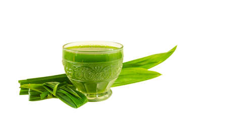 Pandan leaves are plants that Thai people use as herbs and cook dishes such as Thai desserts to have a pleasant aroma.の写真素材