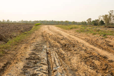 Dirt roads in rural areas of Thailandの写真素材