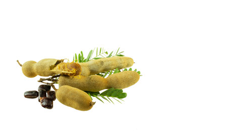 Tamarind isolated on a white backgroundの写真素材