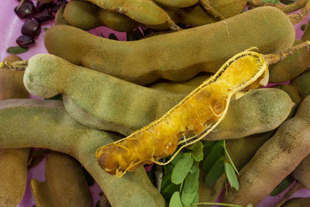 Ripe tamarind background and textureの写真素材