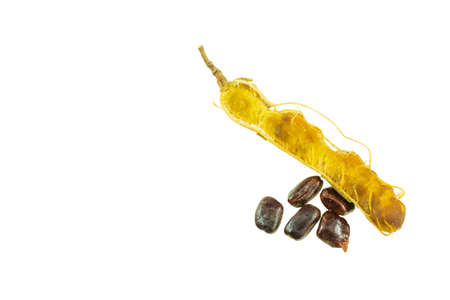 Tamarind isolated on a white backgroundの写真素材