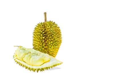 Durian fruit isolated on white backgroundの写真素材