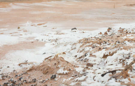 Soil in a rural area in the northeast region of Thailand that has salt stains due to droughtの写真素材