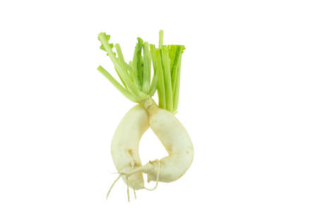 white radish isolated on a white backgroundの写真素材