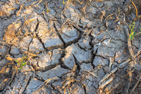 Background and texture of saline soilの写真素材