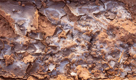 Background and texture of saline soilの写真素材