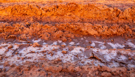 Background and texture of saline soilの写真素材