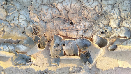 Background and texture of saline soil salt stainsの写真素材