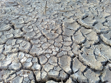 Dry cracked earth background. Global warming and climate change concept.の写真素材