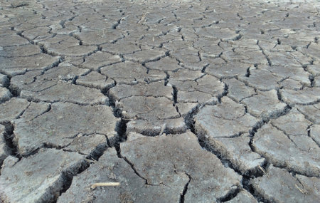 Dry cracked earth background. Global warming, climate change concept.の写真素材