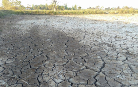 Dry cracked earth in the dry season. Global warming concept.の写真素材