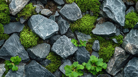 The beauty of nature's textures rough stone, soft moss, and scattered green leaves forming a harmonious compositionの素材