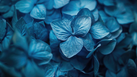 Artistic close-up of blue hydrangea flowers with a focus on their rich color and intricate petal structureの素材