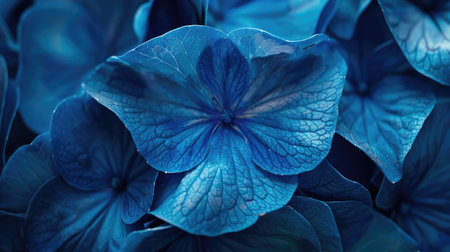 Close-up view of blue hydrangea petals with a focus on their intricate texture and rich blue huesの素材