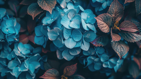 Artistic close-up of blue hydrangea flowers with a focus on their rich color and intricate petal structureの素材