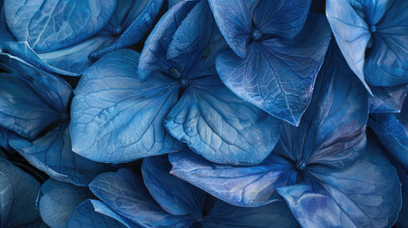 Close-up view of blue hydrangea petals with a focus on their intricate texture and rich blue huesの素材