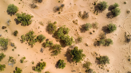 Aerial view of a desert with winding sand dunes and sparse vegetation.の素材