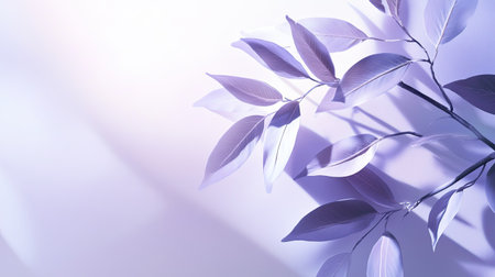 Clean and minimalist backdrop with white and purple tones, leaf shadows providing a serene ambiance.の素材