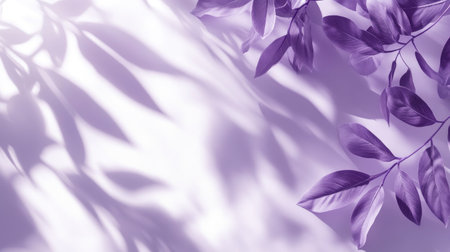 Clean white and purple wall background with soft leaf shadows, ideal for stylish product presentations.の素材