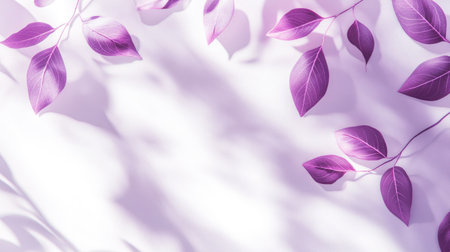 Minimalist white and purple background with leaf shadows, ideal for creating a calm studio atmosphere.の素材