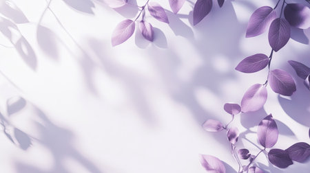 Studio background in white and purple, with soft leaf shadows adding a delicate natural touch.の素材