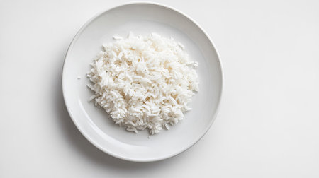 A clean and minimalistic presentation of white rice on a white plate, with a pure white background emphasizing the dish's simplicity.の素材