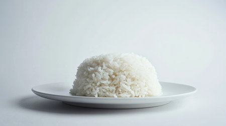 A neat mound of white rice on a white plate, set against a completely white background, creating a minimalist and timeless food presentation.の素材