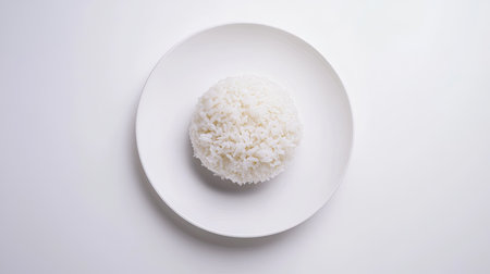 A neat mound of white rice on a white plate, set against a completely white background, creating a minimalist and timeless food presentation.の素材