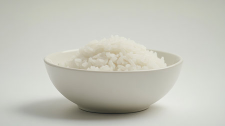 Steamed white rice presented on a plain white dish, with the simplicity of a white background highlighting the purity and elegance of the dish.の素材